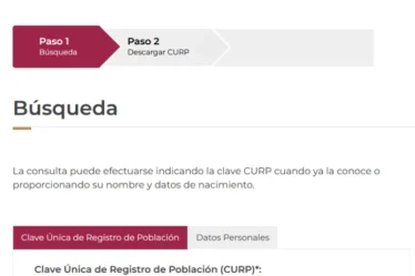 Consultar CURP